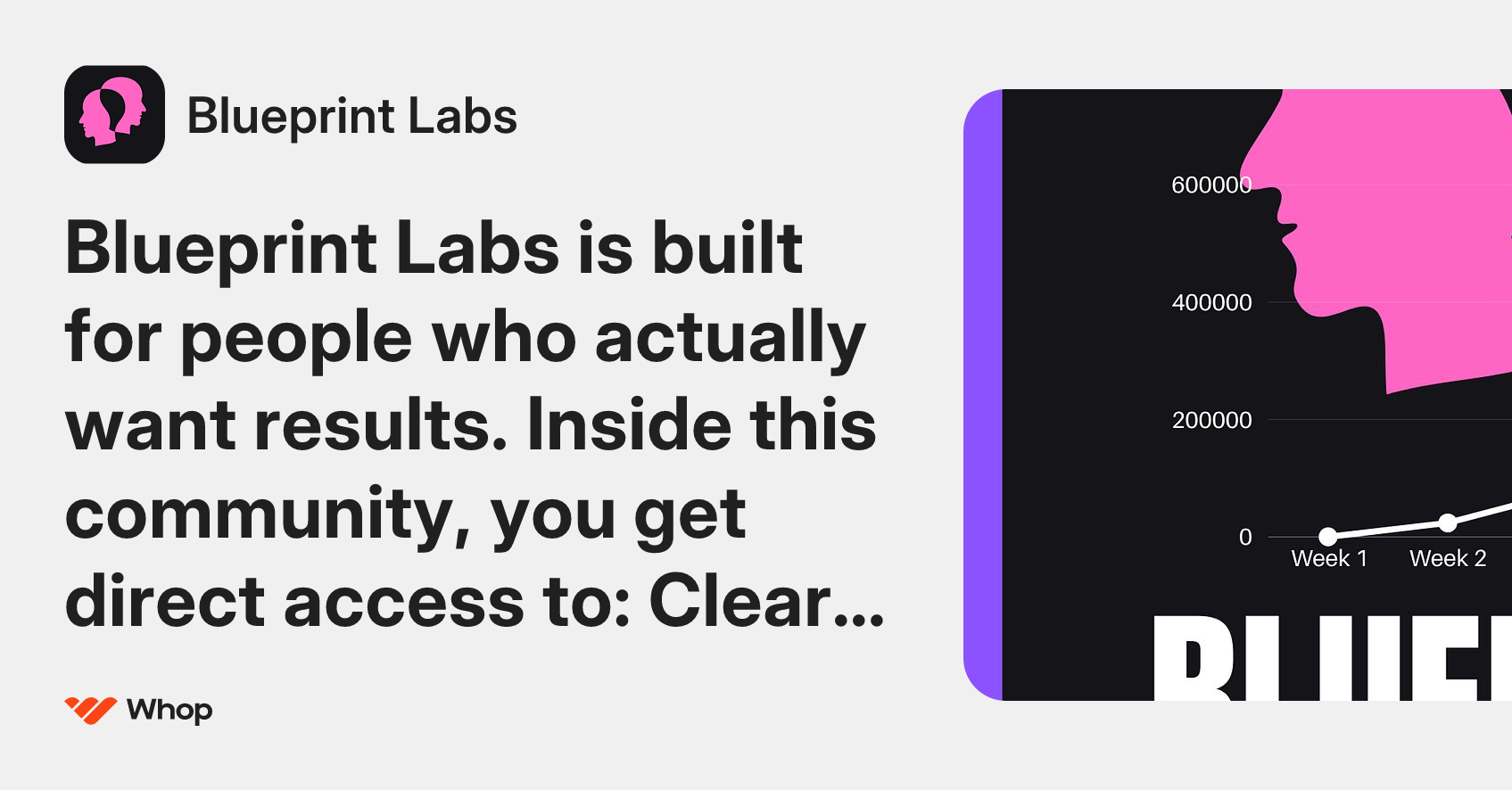 Blueprint Labs | Whop