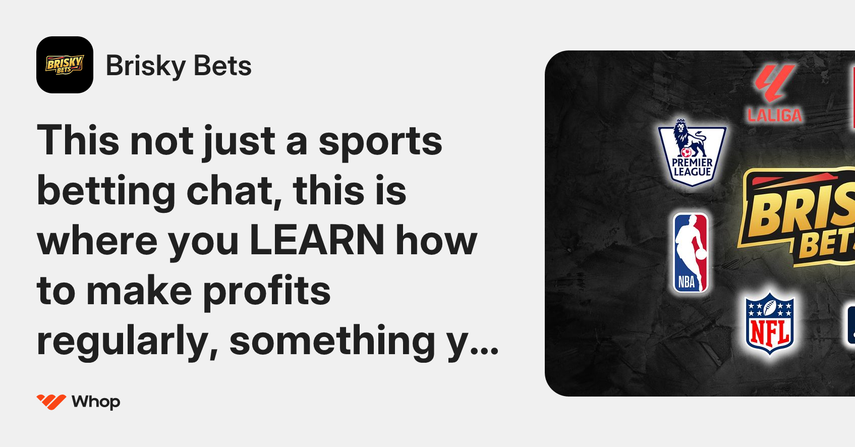 Brisky Bets | Whop