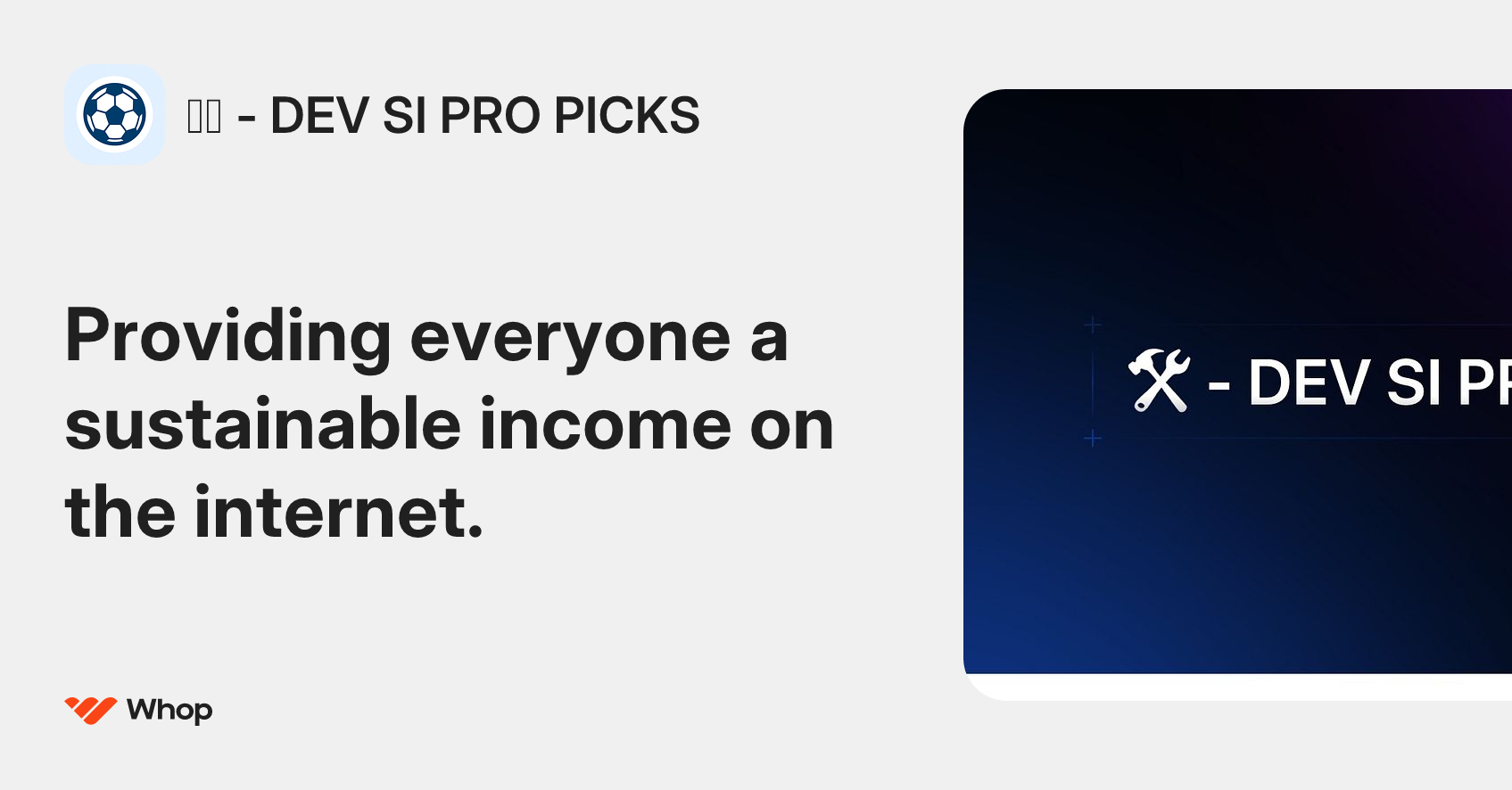 🛠️ - DEV SI PRO PICKS | Whop