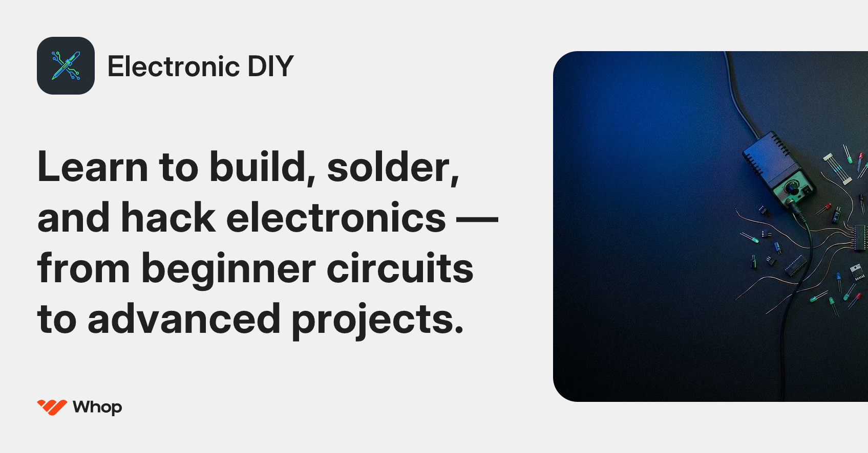 Electronic DIY | Whop