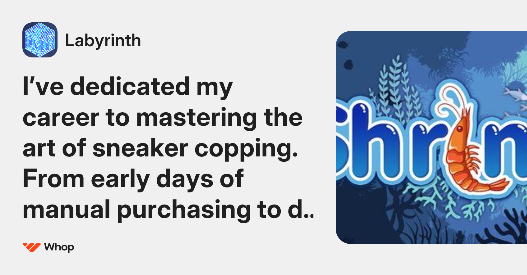 Labyrinth | Whop