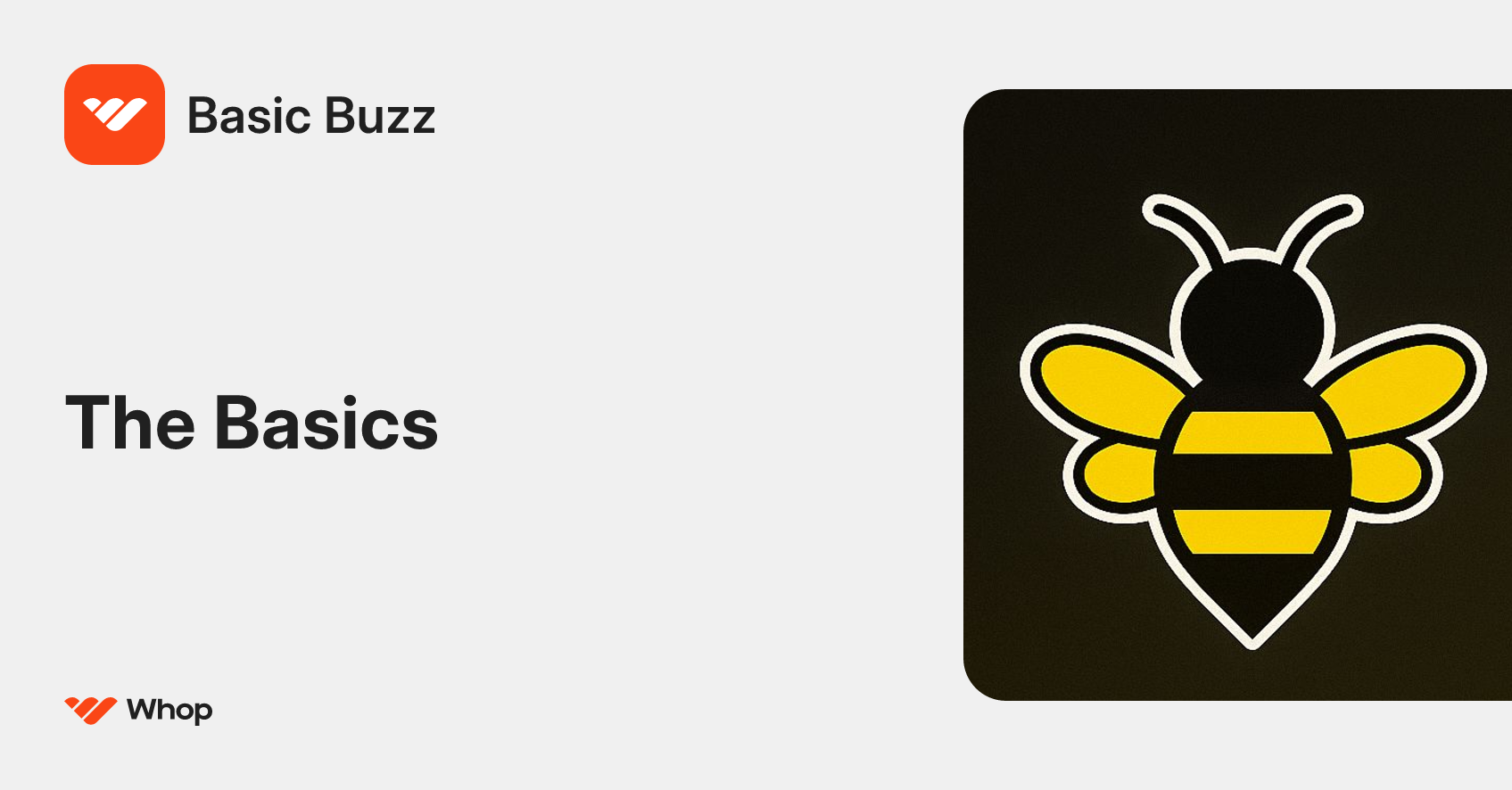 Basic Buzz | Whop