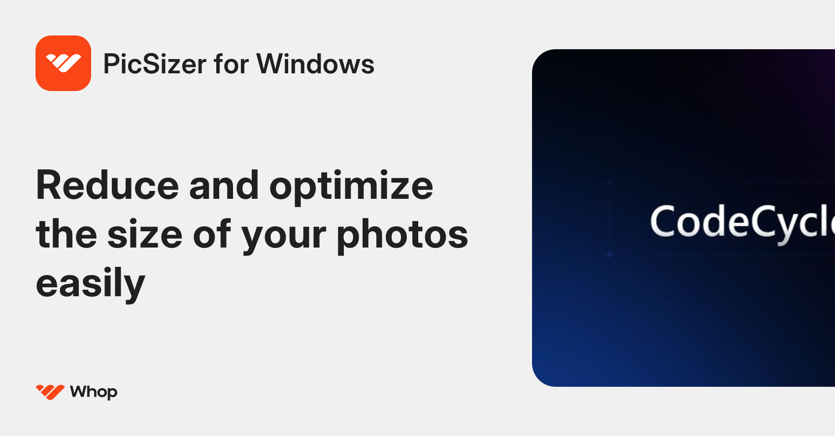 PicSizer for Windows | Whop