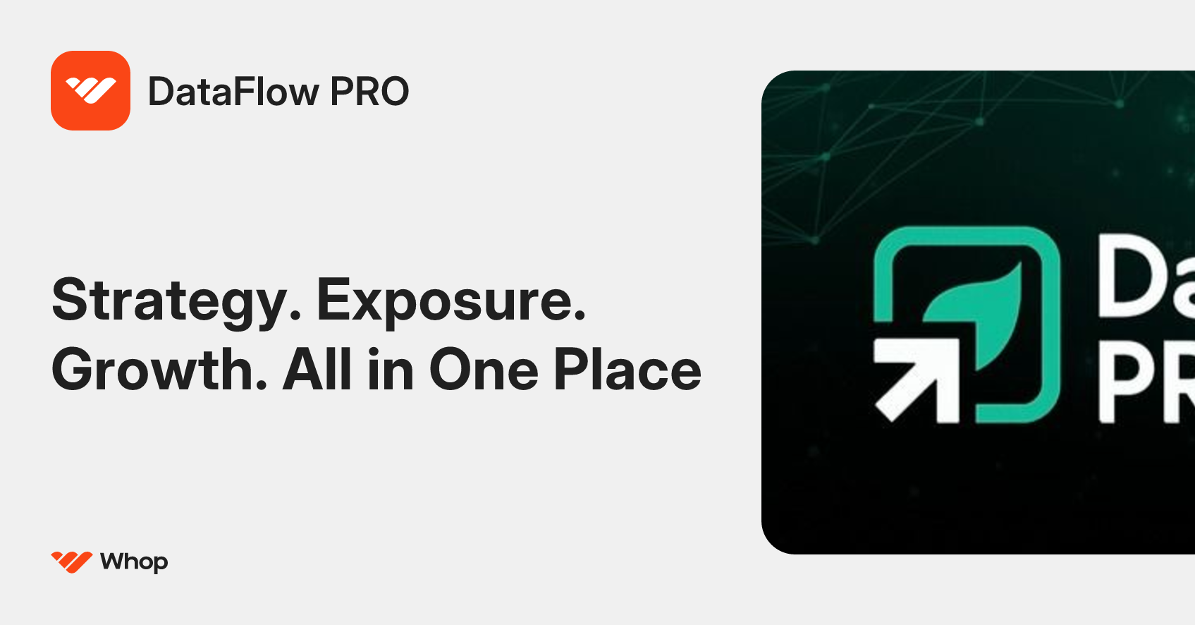 DataFlow PRO | Whop