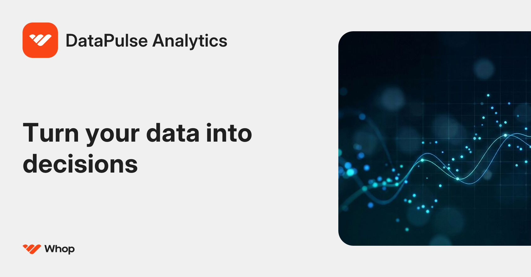 DataPulse Analytics | Whop