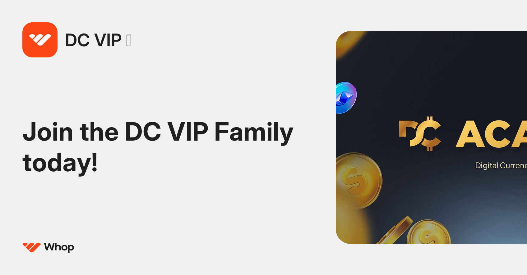 DC VIP 💼 | Whop