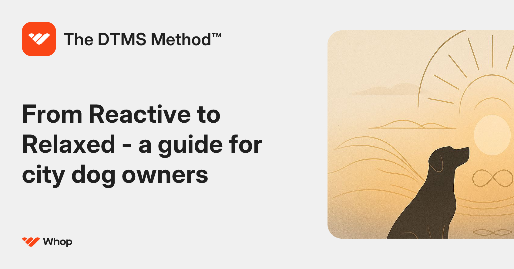 The DTMS Method™ | Whop