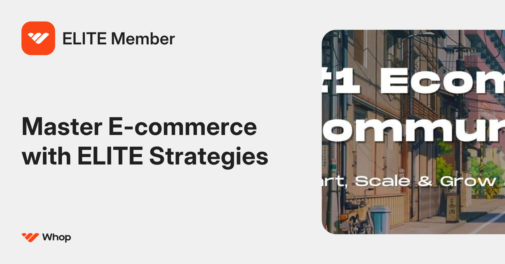 ELITE Member | Whop