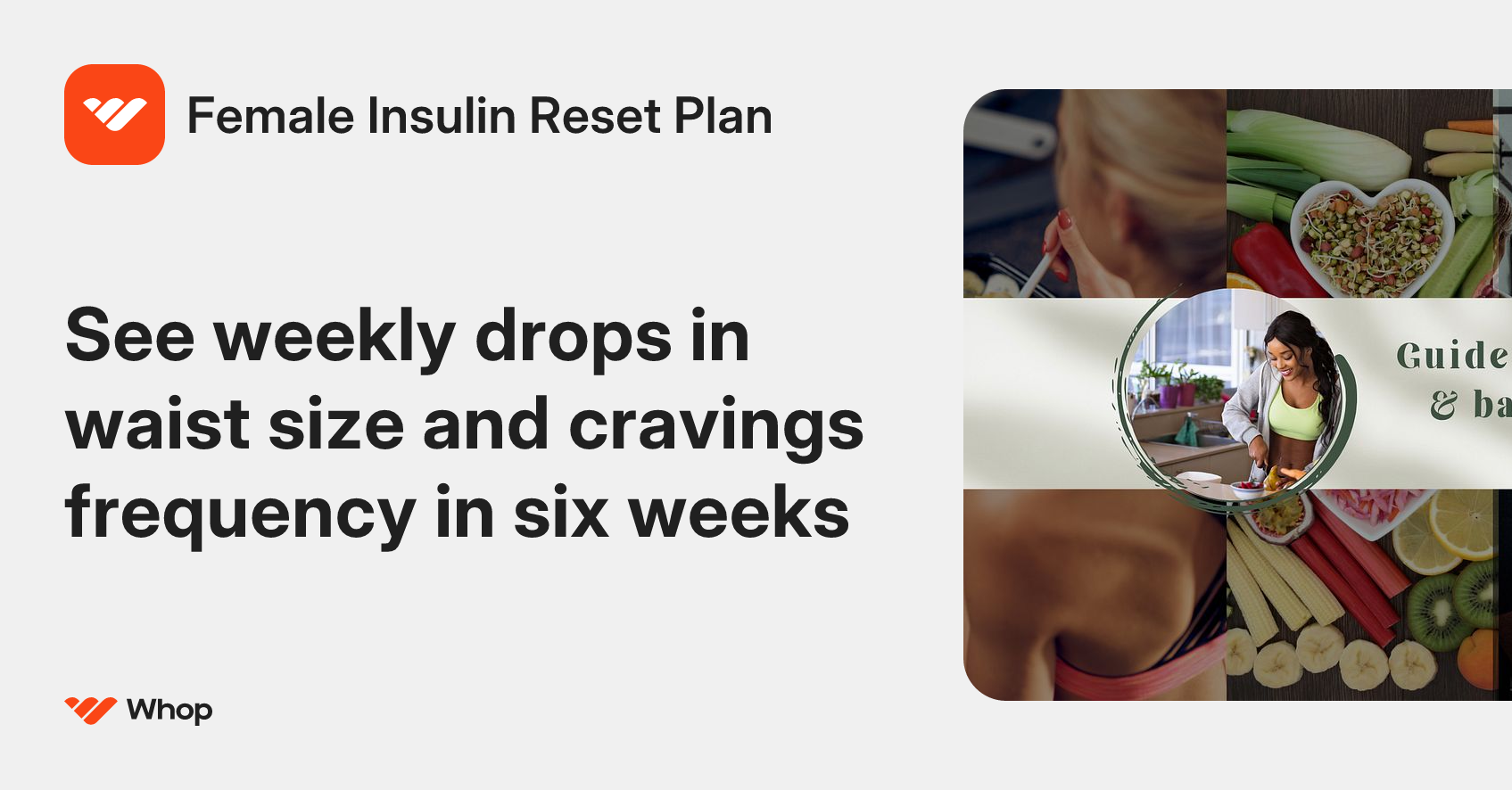 Female Insulin Reset Plan | Whop
