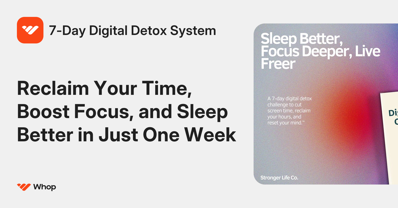 Curated visual reference: Visual Reference: 7 Day Digital Detox System