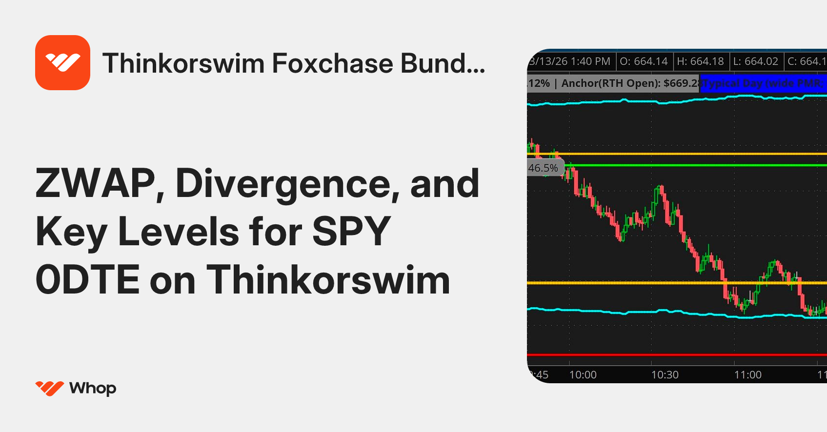Thinkorswim Foxchase Bundle Pro | Whop