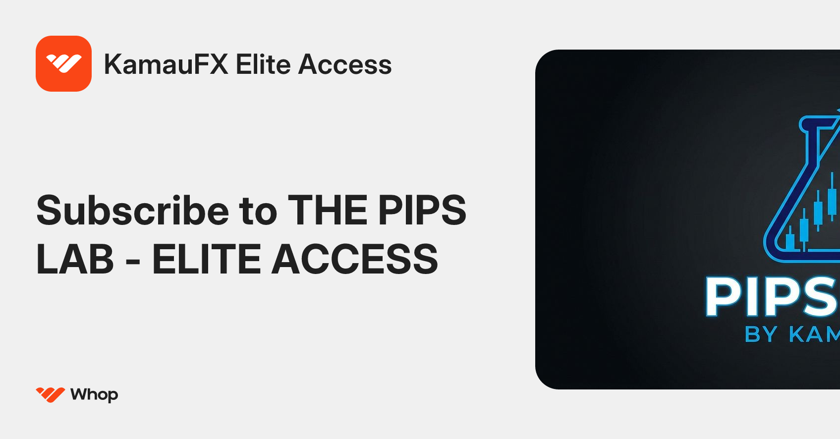 KamauFX Elite Access | Whop