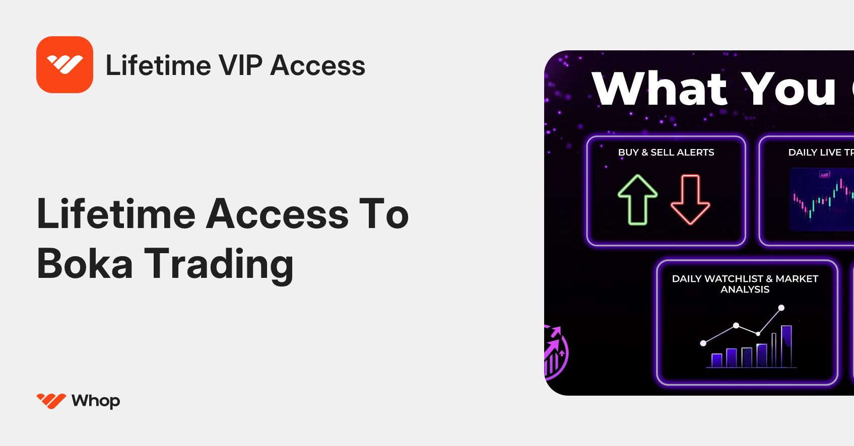 Lifetime VIP Access | Whop