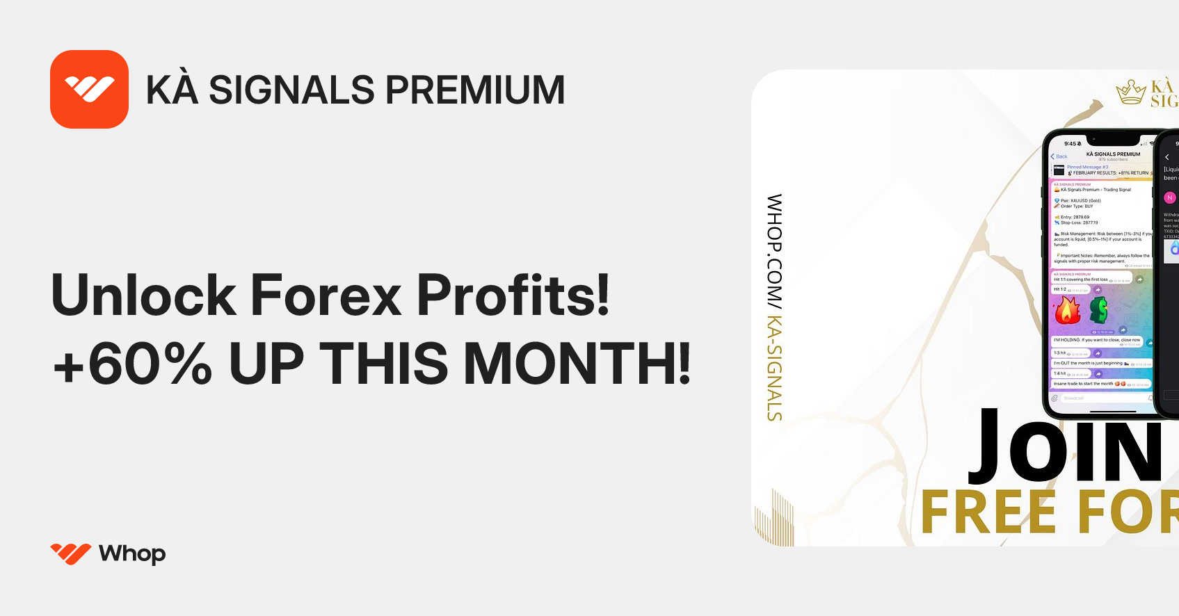 KÀ SIGNALS PREMIUM | Whop