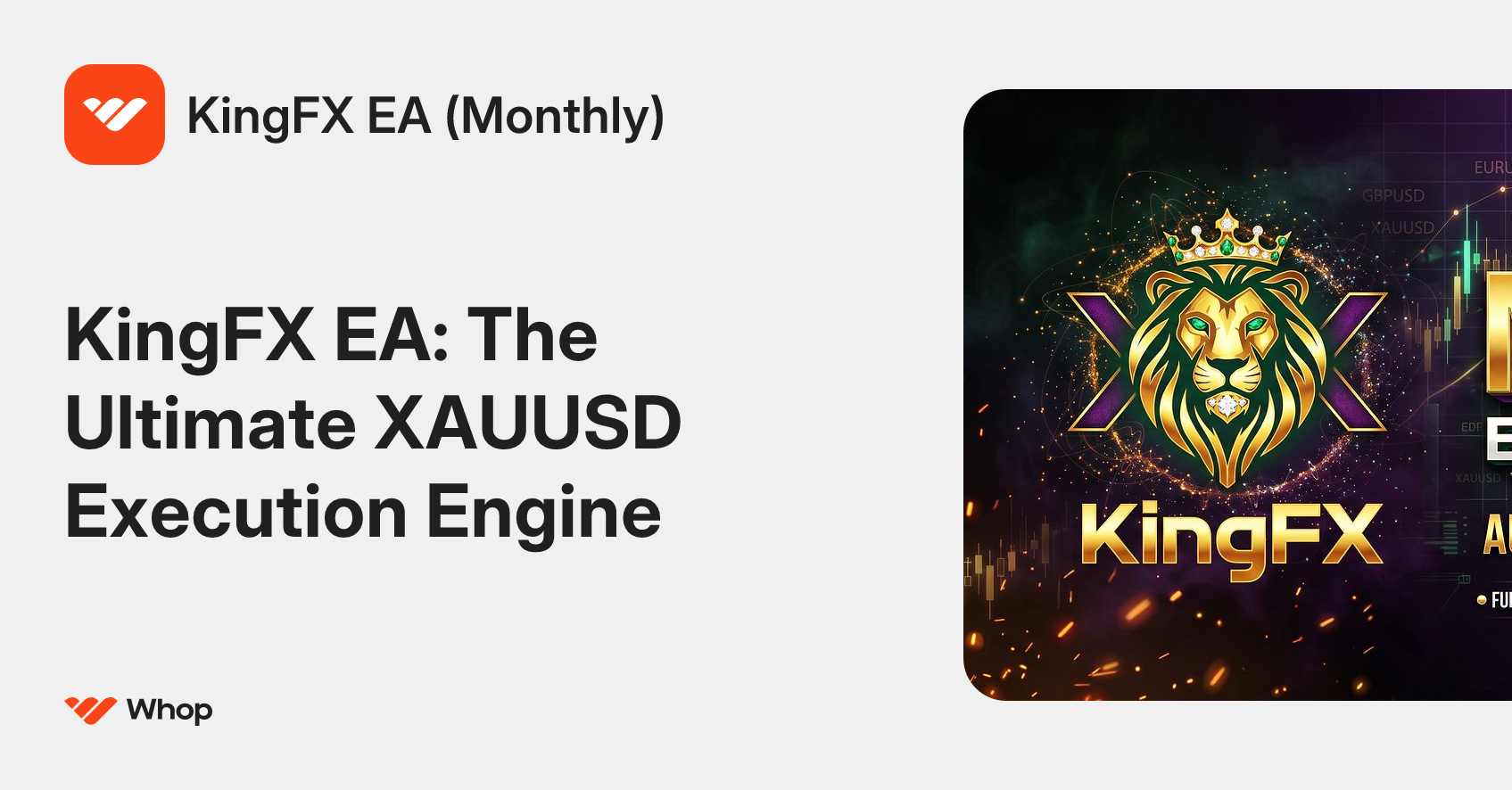 KingFX EA (Monthly) | Whop