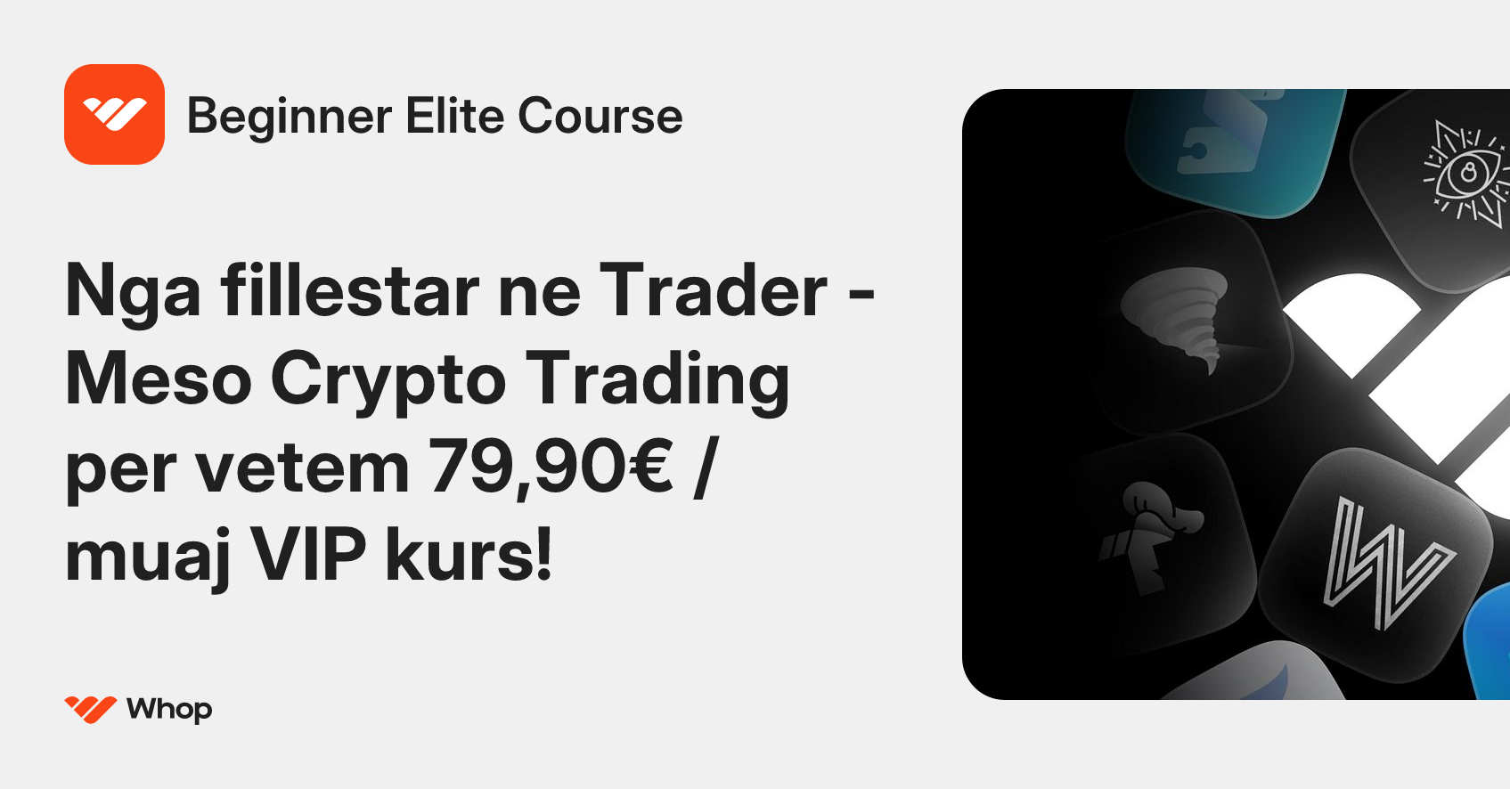 Beginner Elite Course | Whop