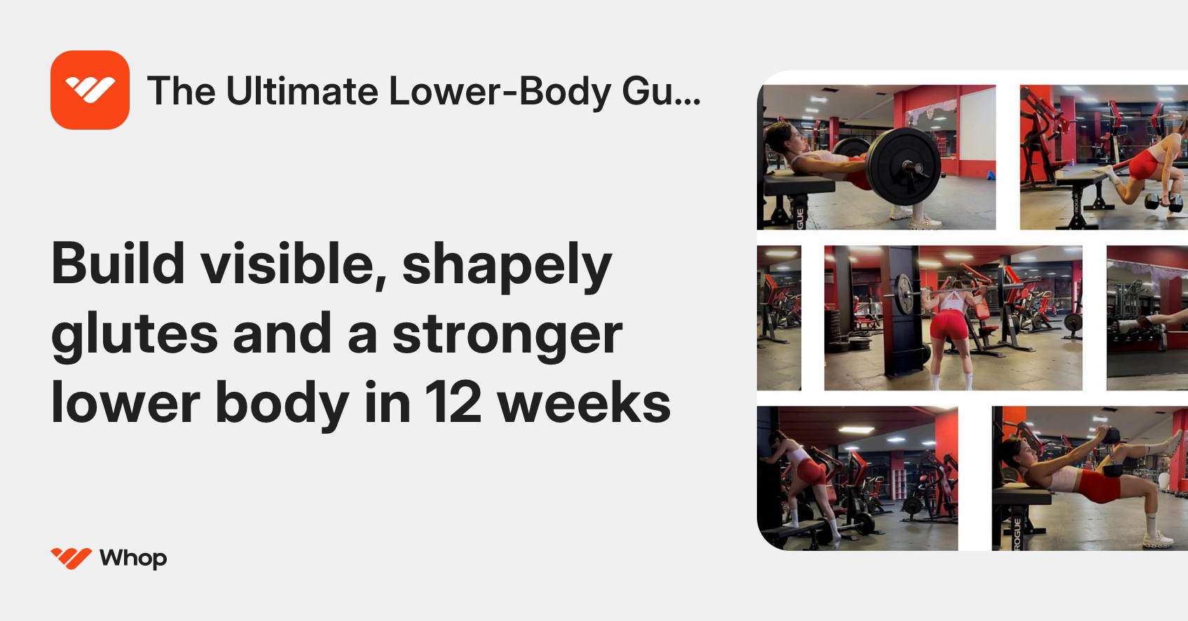 The Ultimate Lower-Body Guide | Whop