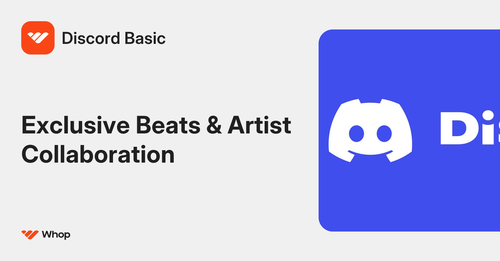 Discord Basic | Whop
