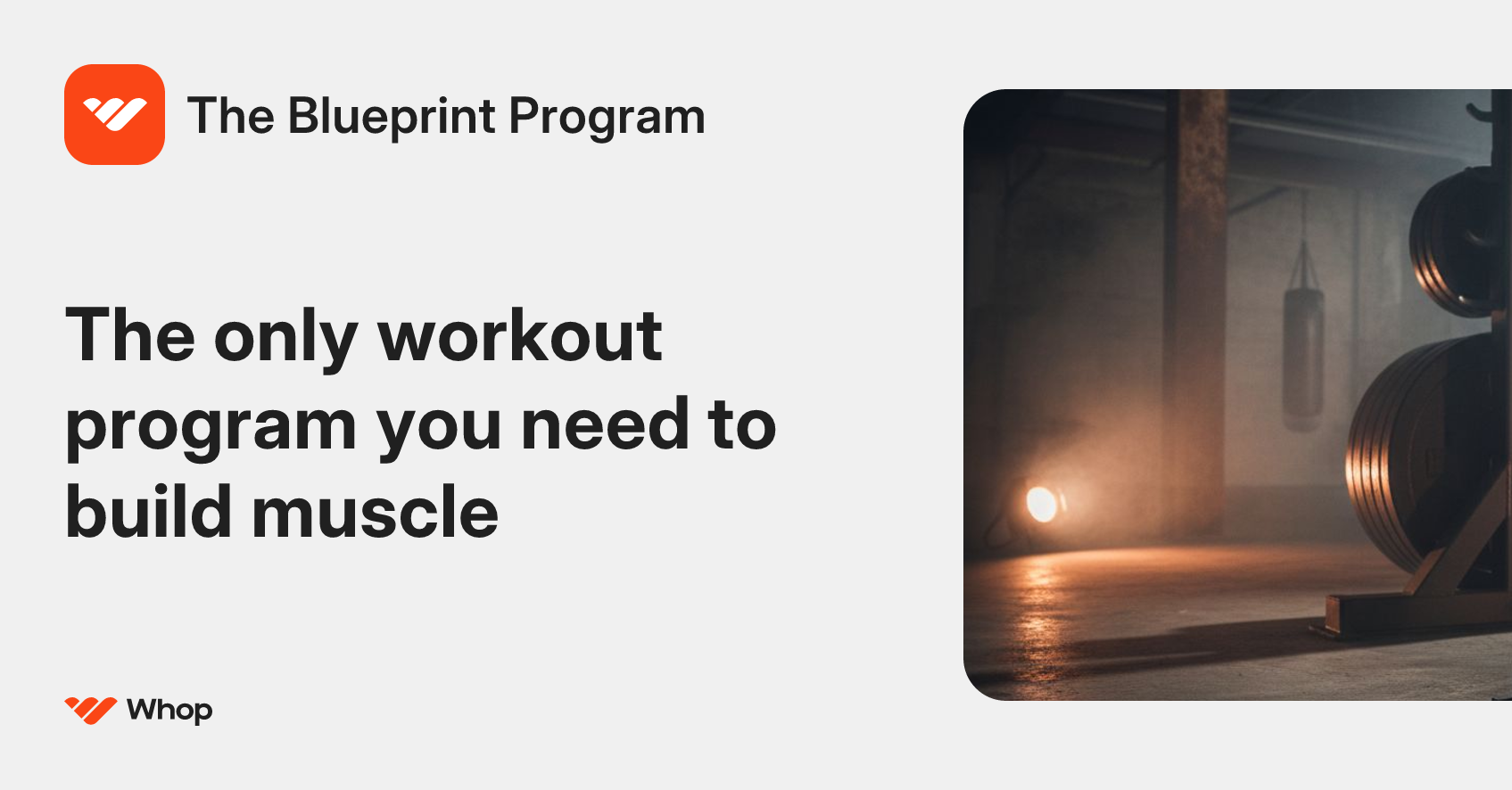 The Blueprint Program | Whop