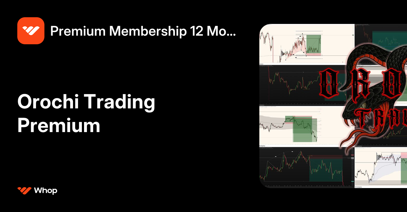 Premium Membership 12 Month | Whop