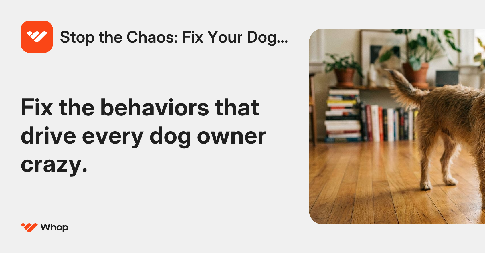 Stop the Chaos: Fix Your Dog's 7 Worst Behaviors | Whop