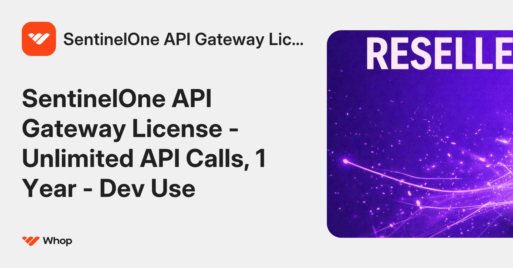SentinelOne API Gateway Licens | Whop