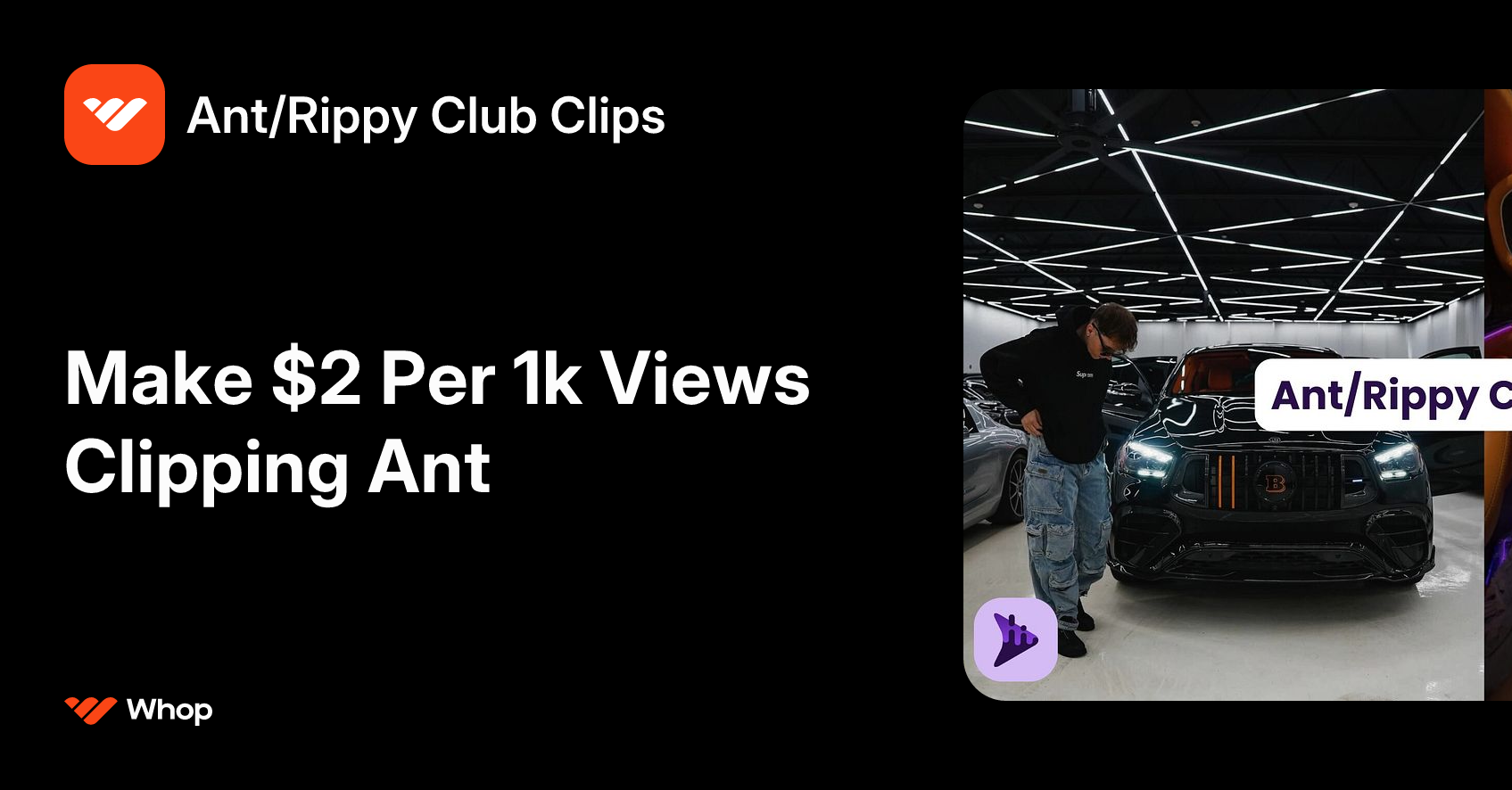Ant/Rippy Club Clips | Whop