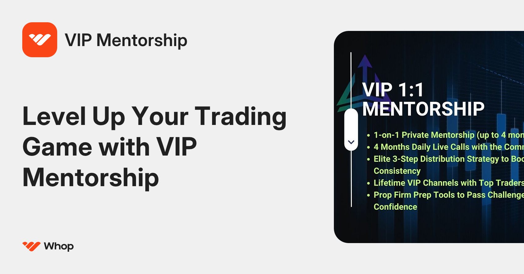 VIP Mentorship | Whop