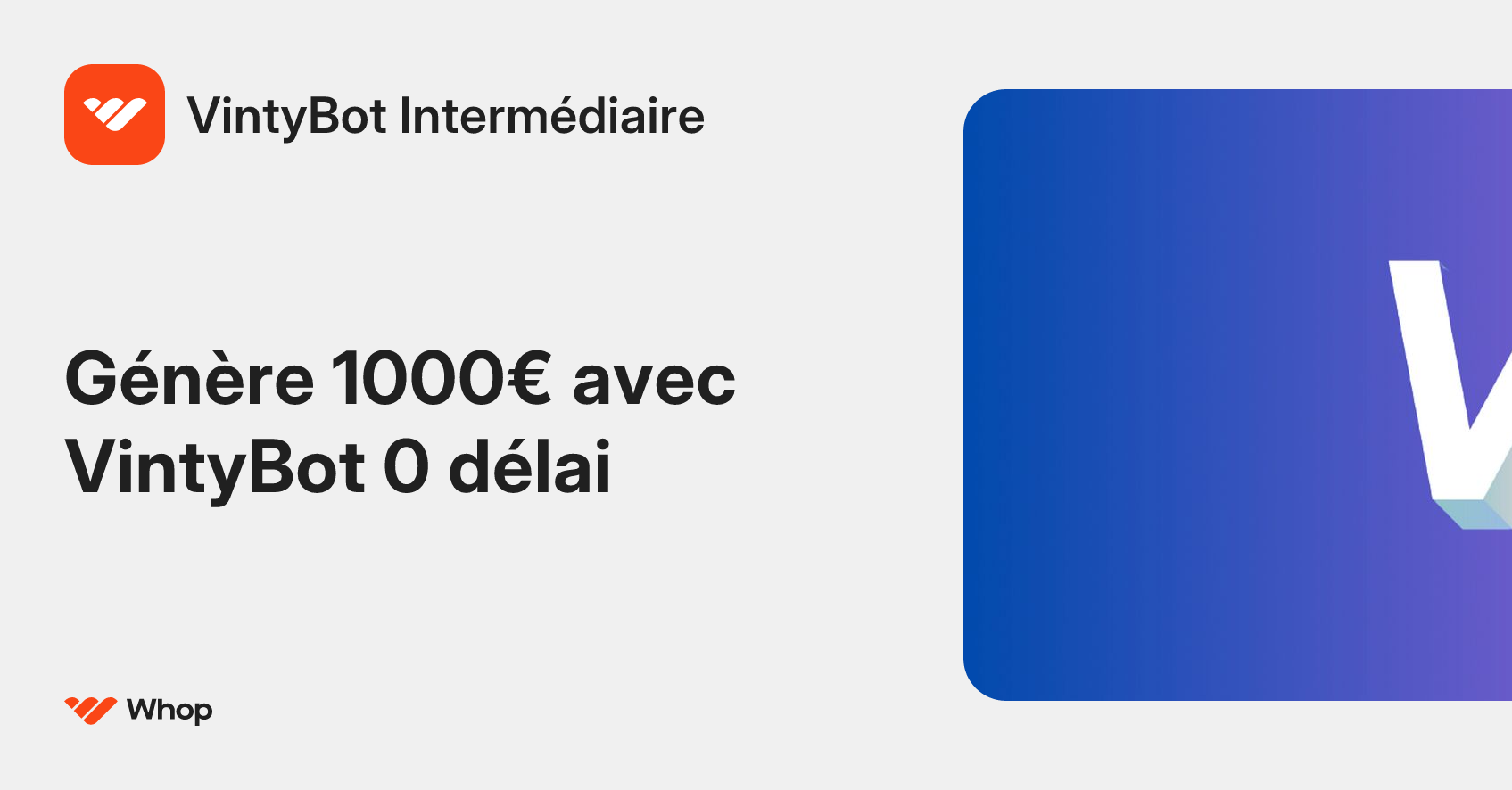 VintyBot Intermédiaire | Whop