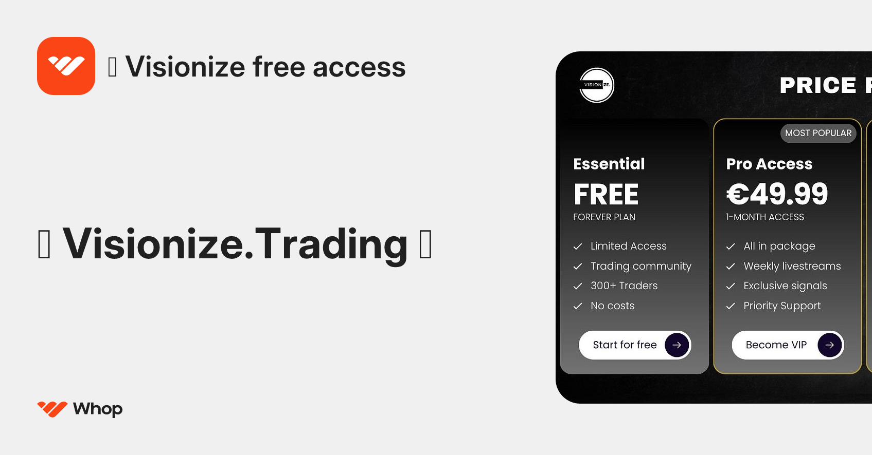 👽 Visionize free access | Whop
