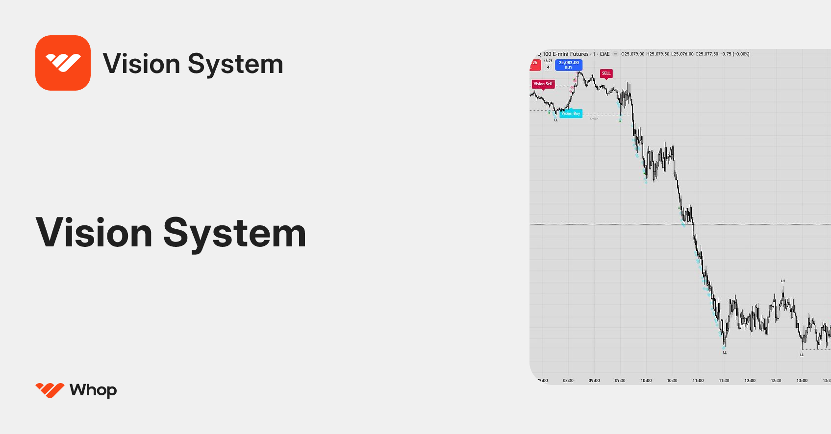 Vision System | Whop