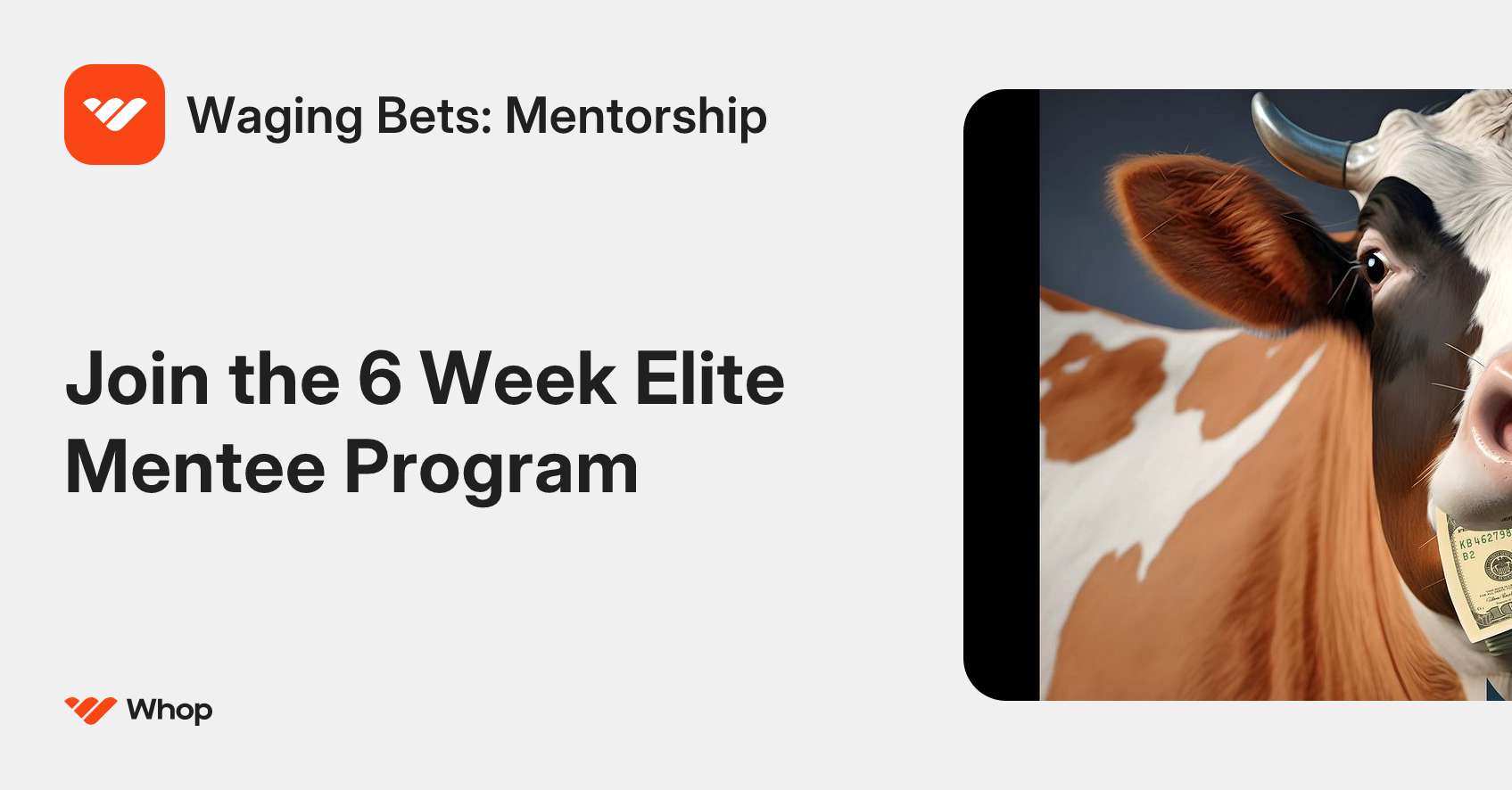 Waging Bets: Mentorship | Whop