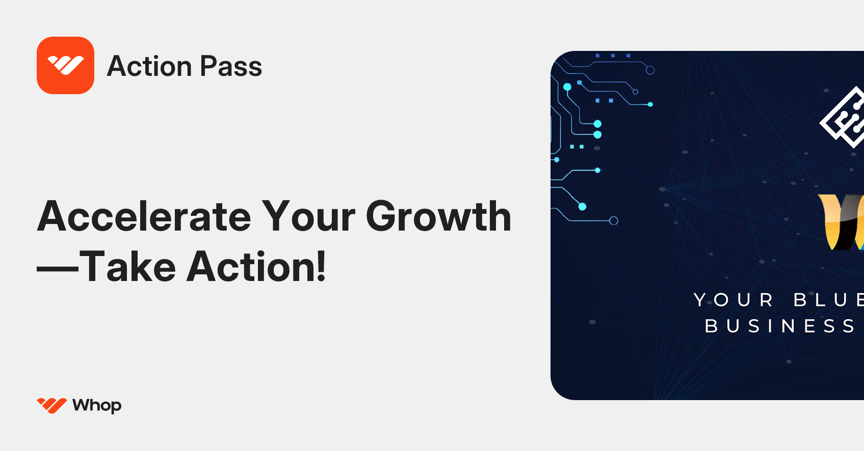 Action Pass | Whop