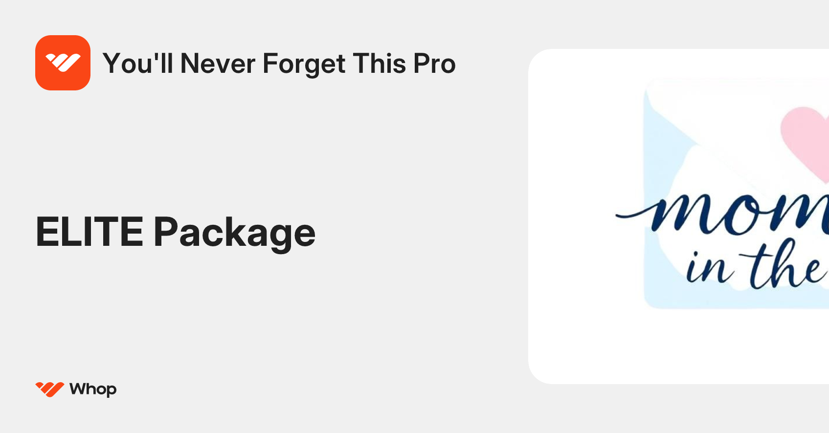 You'll Never Forget This Pro | Whop
