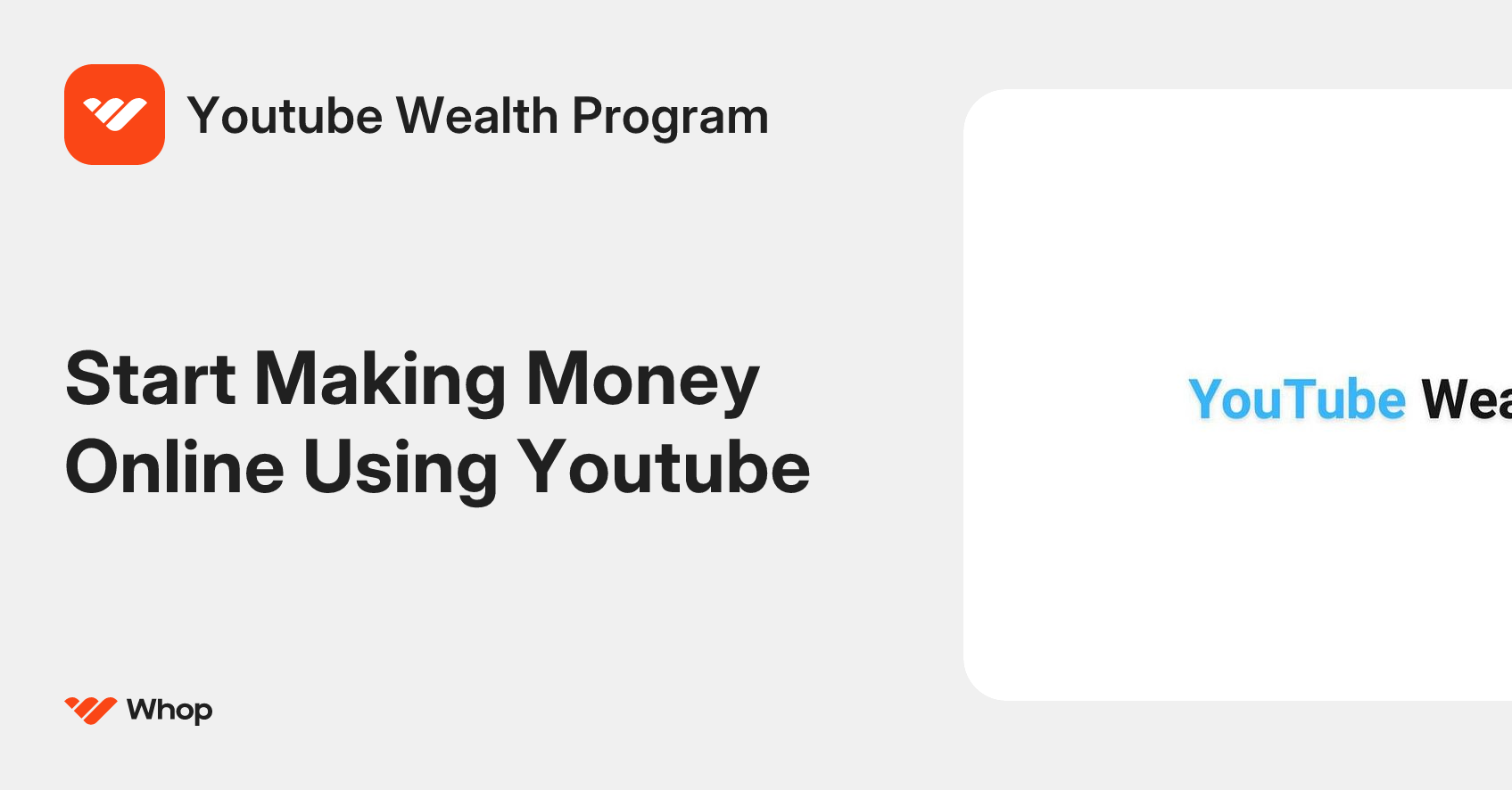 Youtube Wealth Program